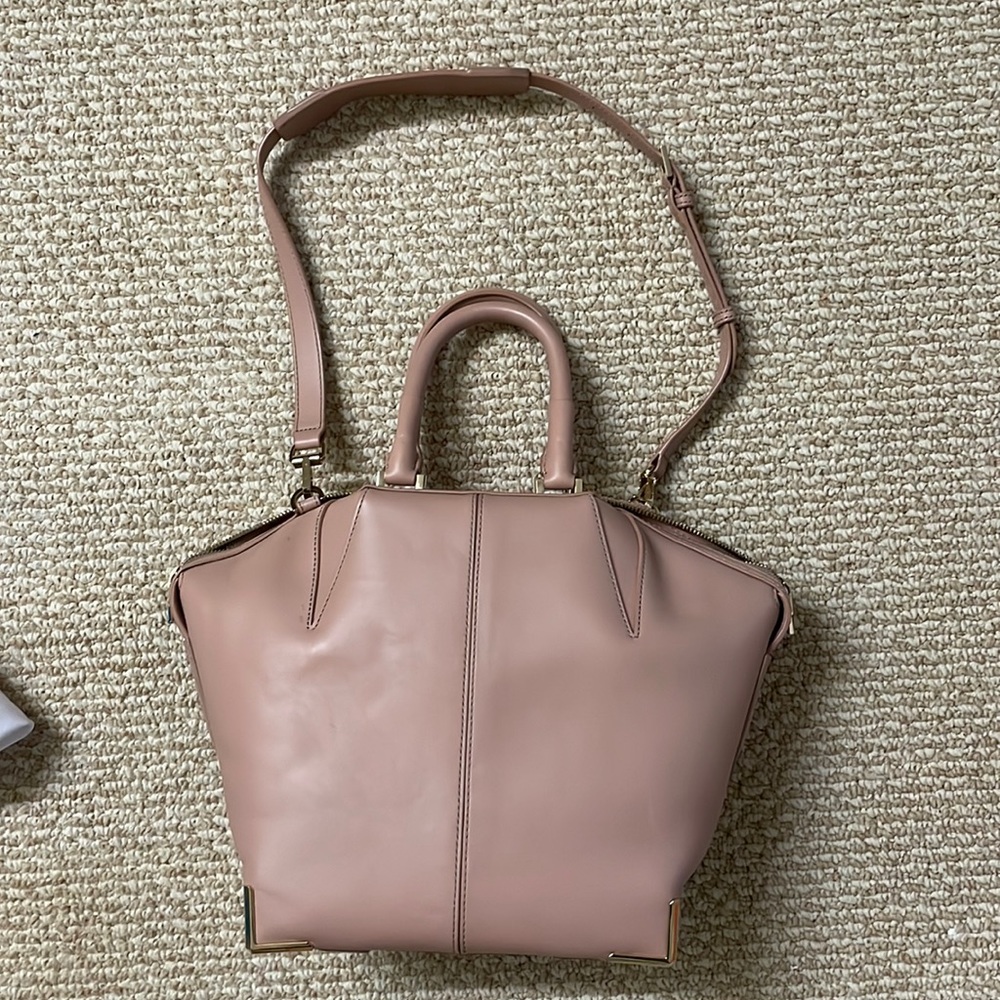 Blush pink Alexander Wang Emile Bag